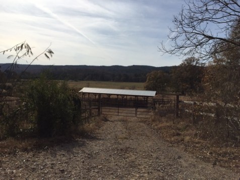 My reward for making it up the hill