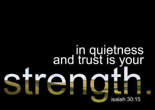 DFBEB59D-6A68-4FD5-8A55-C5A9CC8E1D42-441-0000003B0EFF954C