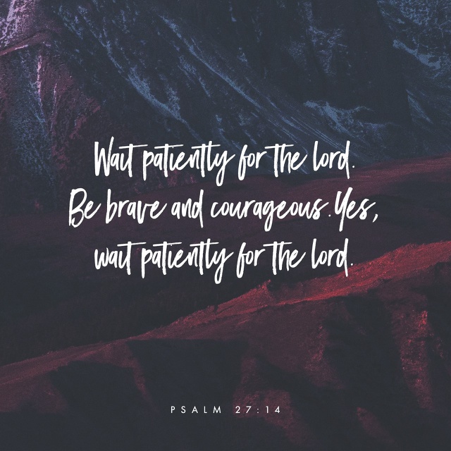 FA64AB0B-3668-4791-9F99-4394EB0D4A40-5056-000003FDA817415D